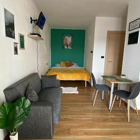 Green Studio Timişoara Extérieur photo