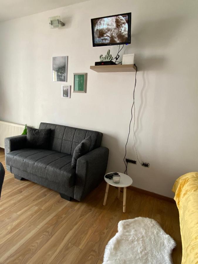 Green Studio Timişoara Extérieur photo