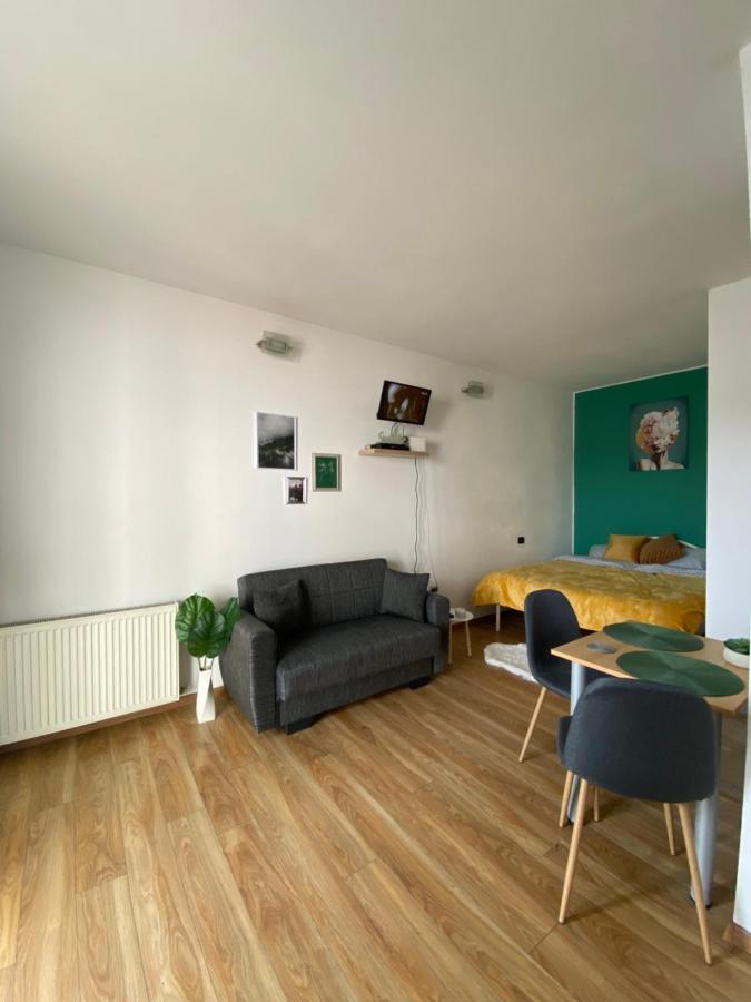 Green Studio Timişoara Extérieur photo