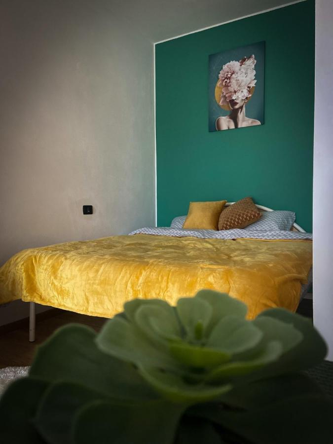 Green Studio Timişoara Extérieur photo
